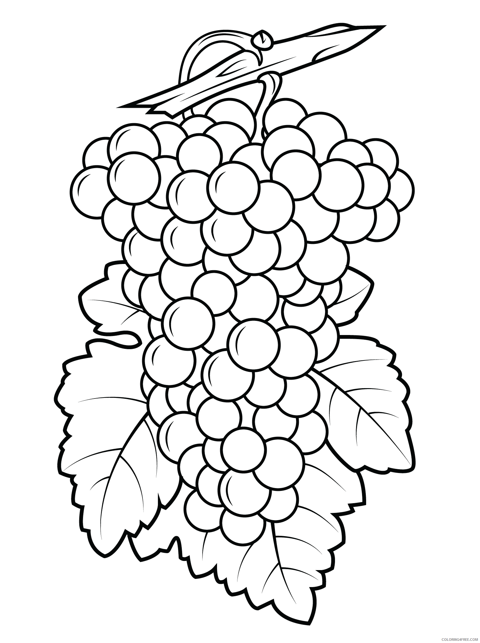 Grapes Coloring Pages Fruits Food Printable Grapes Printable 2021 215 Coloring4free
