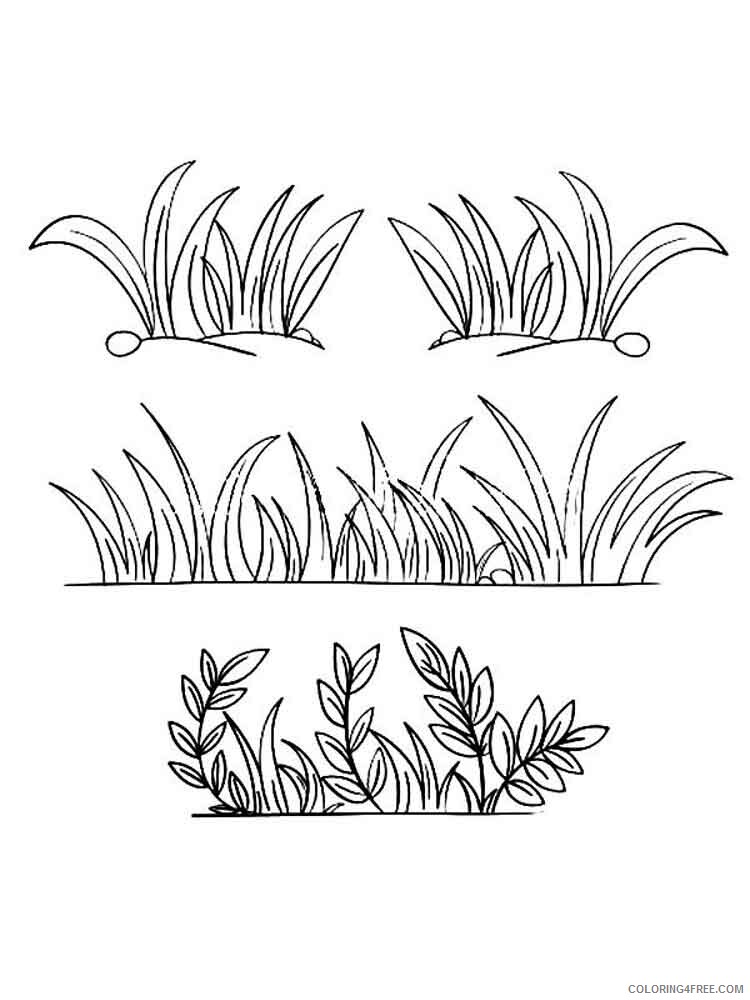 Grass Coloring Pages Nature grass 10 Printable 2021 208 Coloring4free