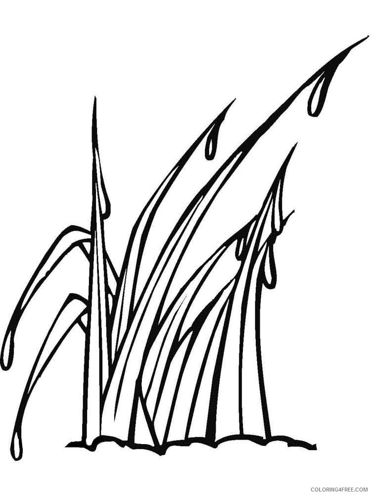 Grass Coloring Pages Nature grass 11 Printable 2021 209 Coloring4free