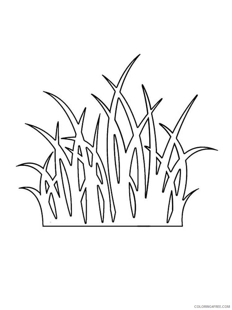 Grass Coloring Pages Nature grass 12 Printable 2021 210 Coloring4free