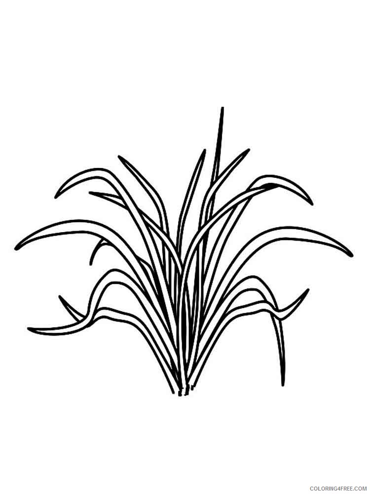 Grass Coloring Pages Nature grass 14 Printable 2021 211 Coloring4free