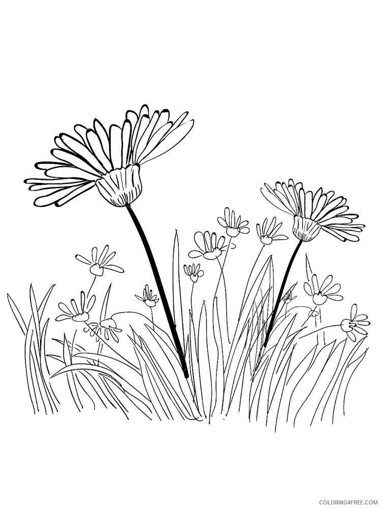 Grass Coloring Pages Nature grass 15 Printable 2021 212 Coloring4free