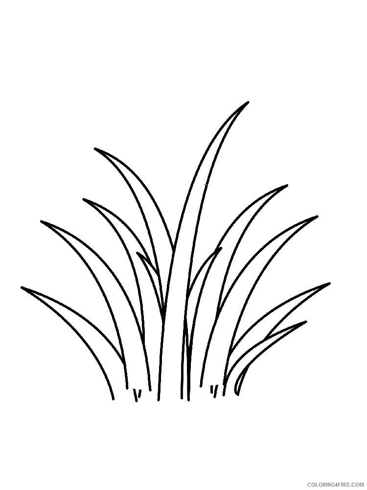 Grass Coloring Pages Nature grass 2 Printable 2021 213 Coloring4free