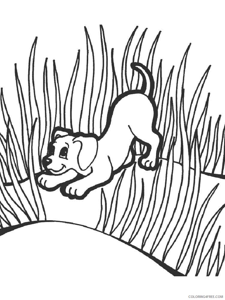 Grass Coloring Pages Nature grass 6 Printable 2021 215 Coloring4free