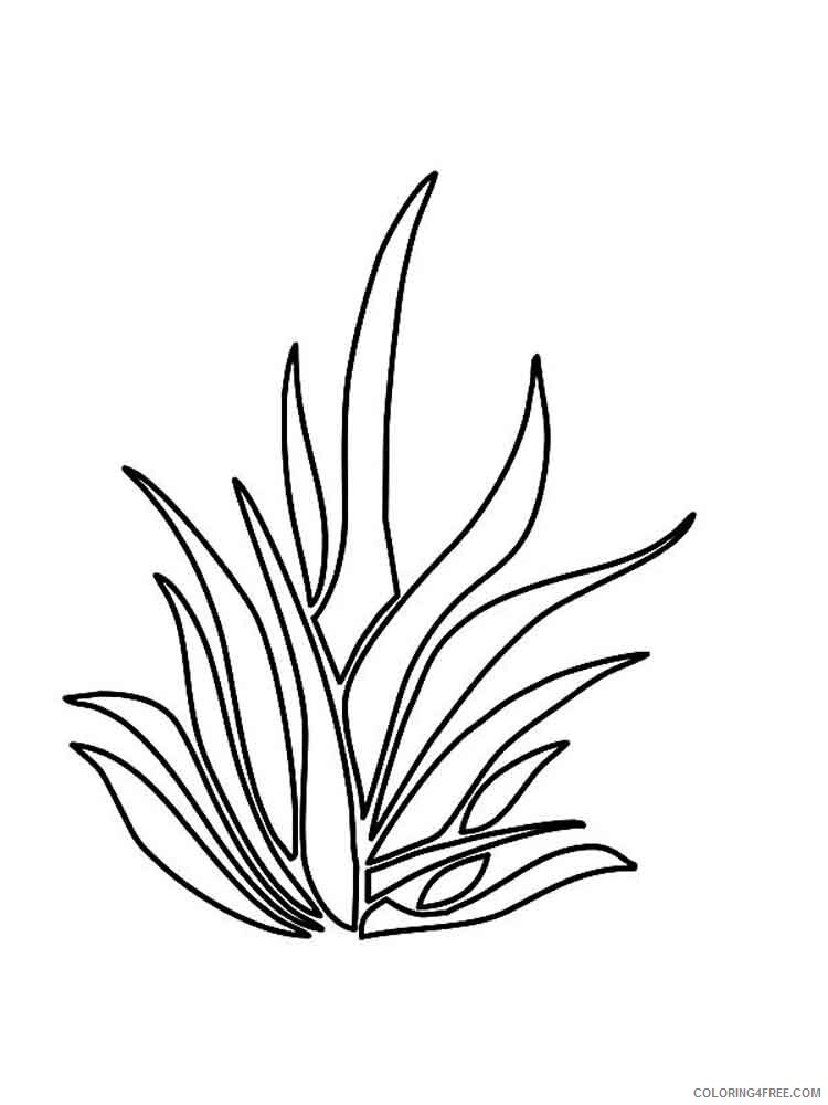 Grass Coloring Pages Nature grass 9 Printable 2021 216 Coloring4free