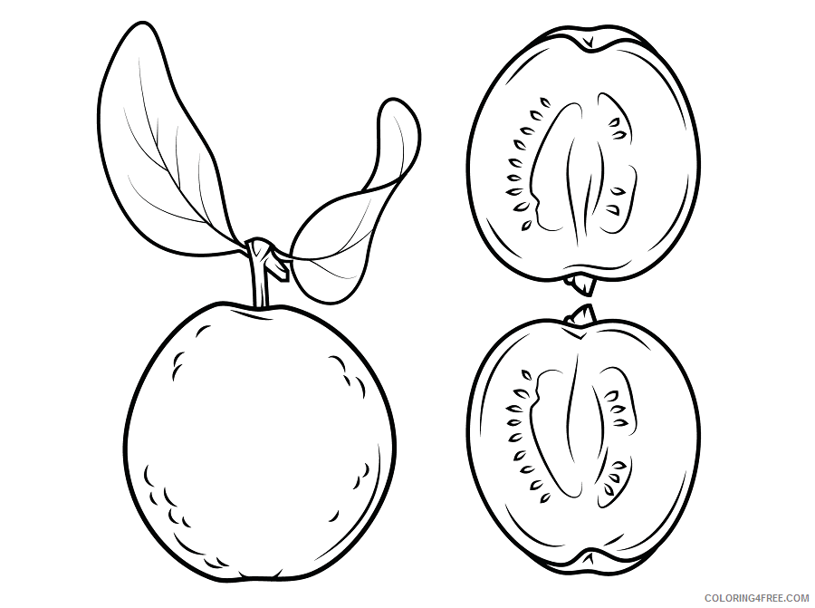 Guavas Coloring Pages Fruits Food guava Printable 2021 220 Coloring4free