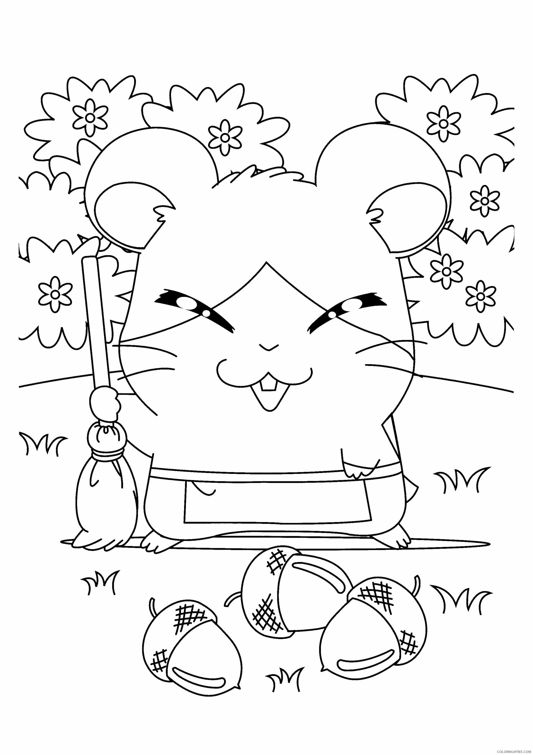 Hamtaro Printable Coloring Pages Anime hamtaro 181 2021 0648 Coloring4free