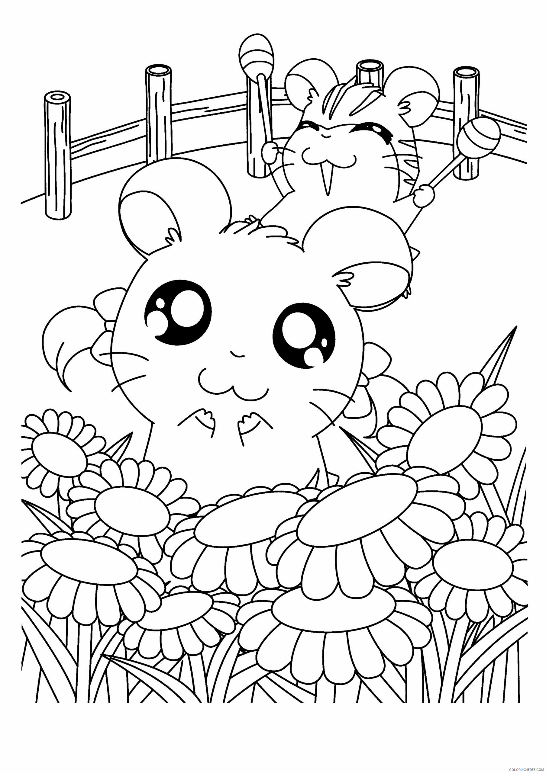 Hamtaro Printable Coloring Pages Anime hamtaro 191 2021 0658 Coloring4free