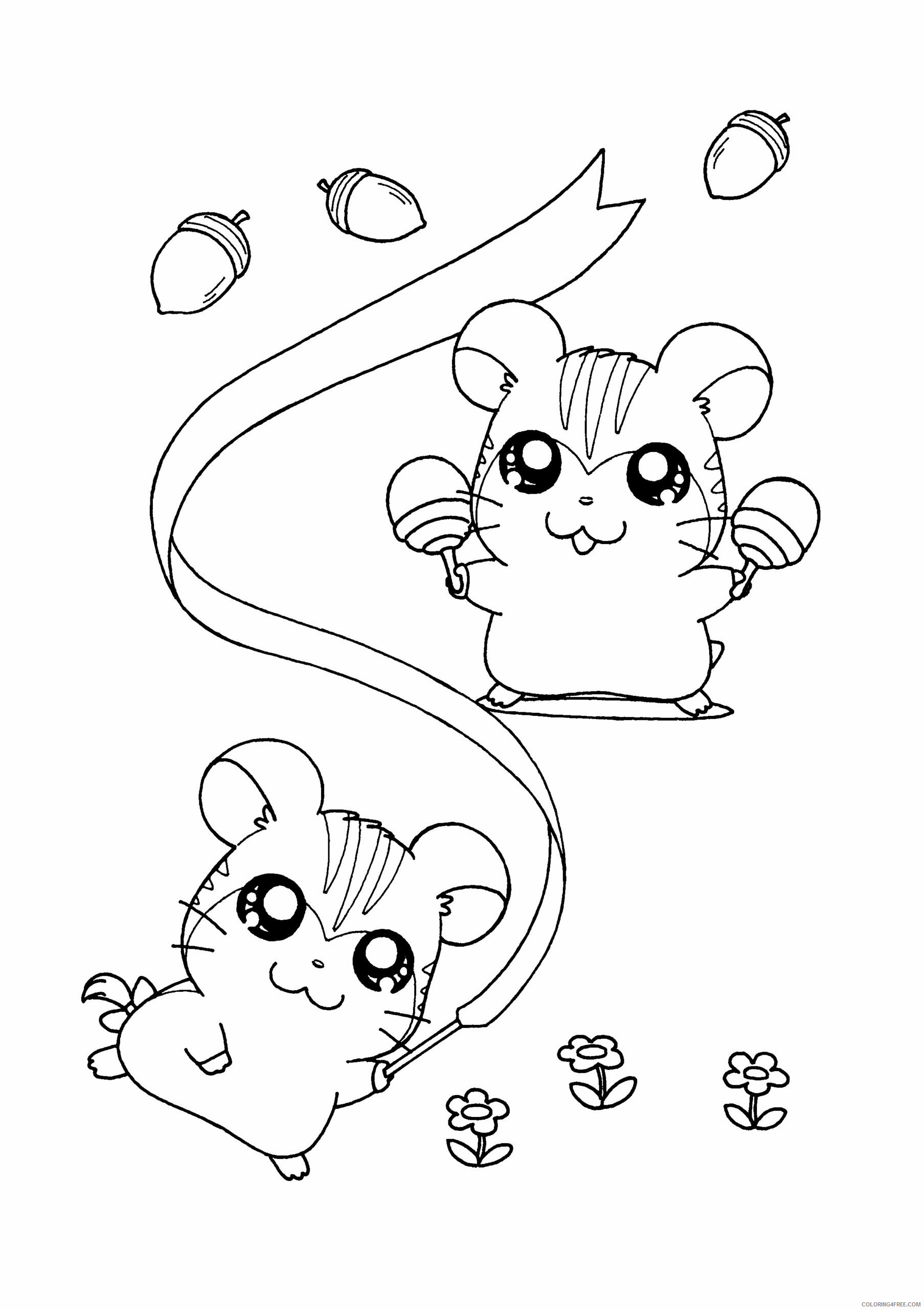 Hamtaro Printable Coloring Pages Anime hamtaro 227 2021 0691 Coloring4free