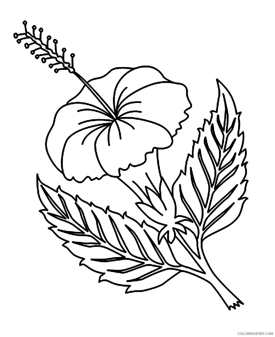 Hibiscus Coloring Pages Flowers Nature Hibiscus Flower Printable 2021 197 Coloring4free
