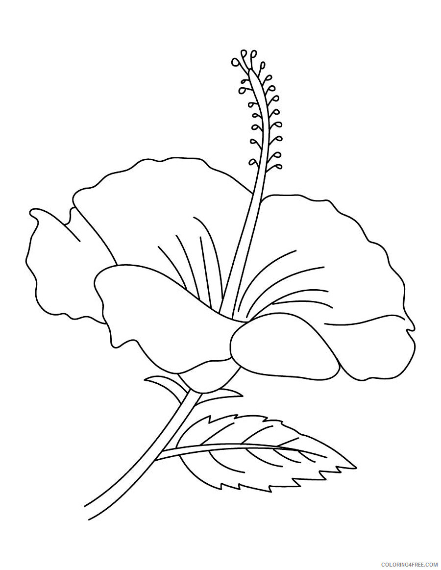 Hibiscus Coloring Pages Flowers Nature Hibiscus Flower to Print Printable 2021 Coloring4free
