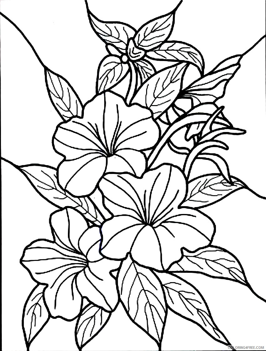 Hibiscus Coloring Pages Flowers Nature Hibiscus Images Printable 2021 183 Coloring4free