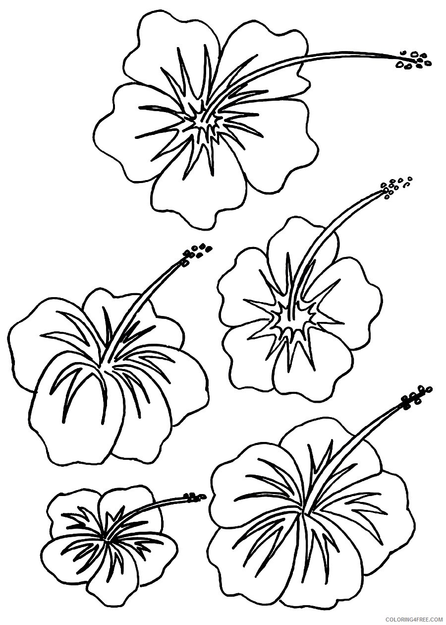 Hibiscus Coloring Pages Flowers Nature Hibiscus Pictures Printable 2021 184 Coloring4free