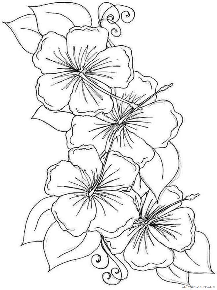 Hibiscus Coloring Pages Flowers Nature Hibiscus flower 1 Printable 2021 187 Coloring4free