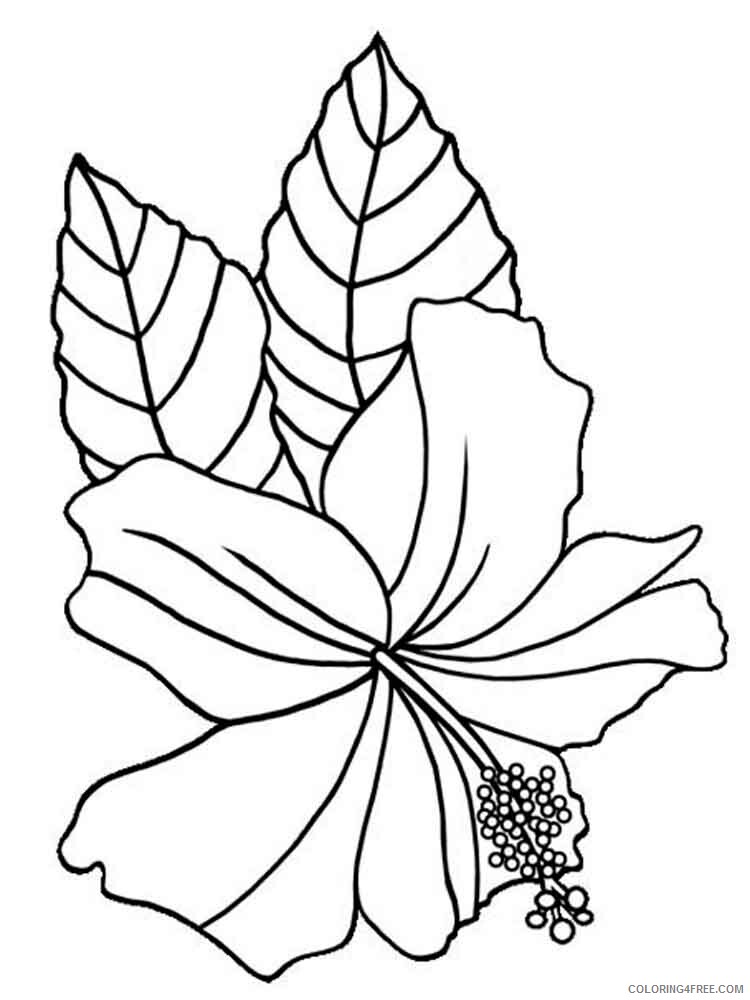 Hibiscus Coloring Pages Flowers Nature Hibiscus flower 3 Printable 2021 189 Coloring4free
