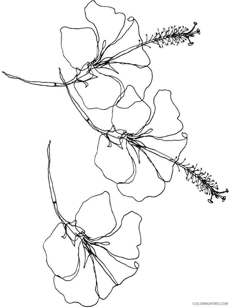 Hibiscus Coloring Pages Flowers Nature Hibiscus flower 5 Printable 2021 191 Coloring4free