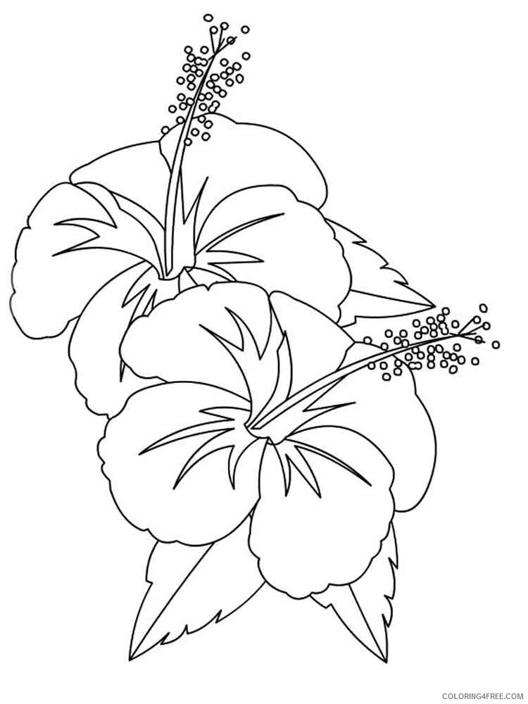 Hibiscus Coloring Pages Flowers Nature Hibiscus flower 6 Printable 2021 192 Coloring4free