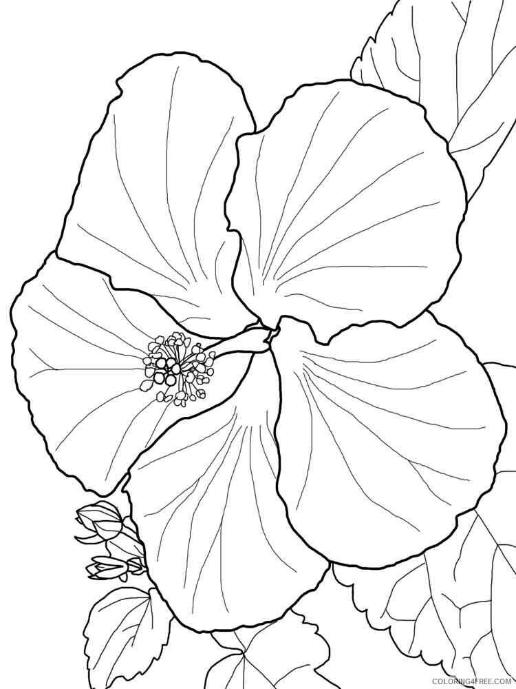 Hibiscus Coloring Pages Flowers Nature Hibiscus flower 7 Printable 2021 193 Coloring4free