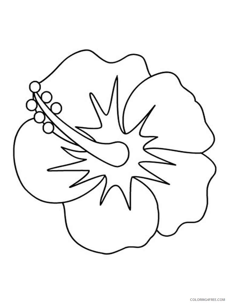 Hibiscus Coloring Pages Flowers Nature Hibiscus flower 8 Printable 2021 194 Coloring4free