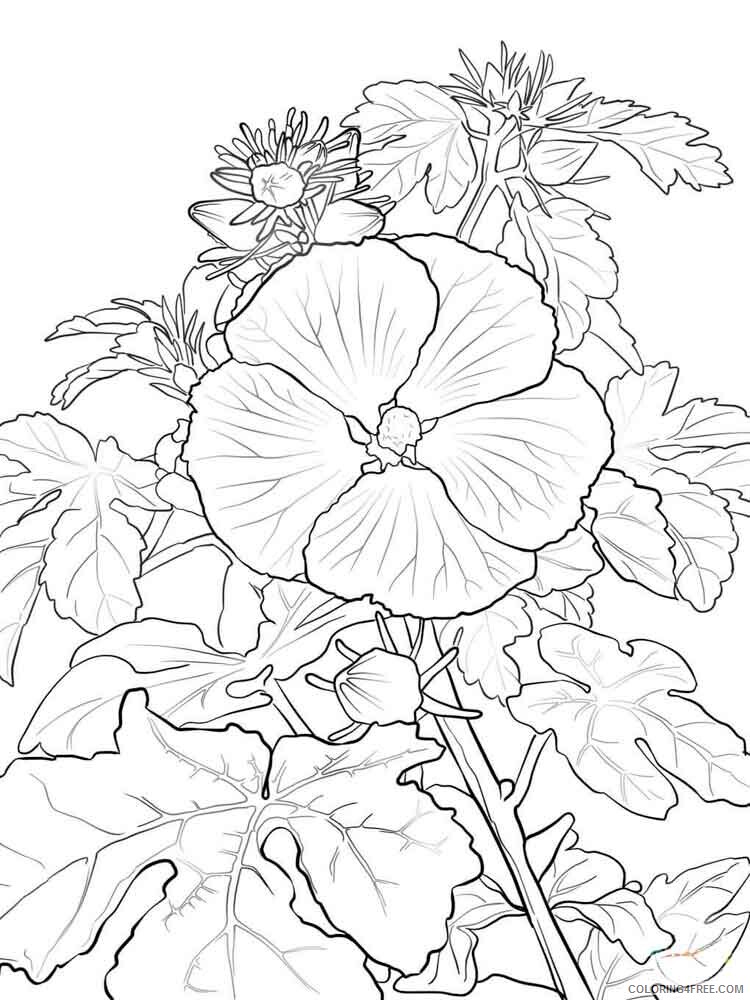 Hibiscus Coloring Pages Flowers Nature Hibiscus flower 9 Printable 2021 195 Coloring4free