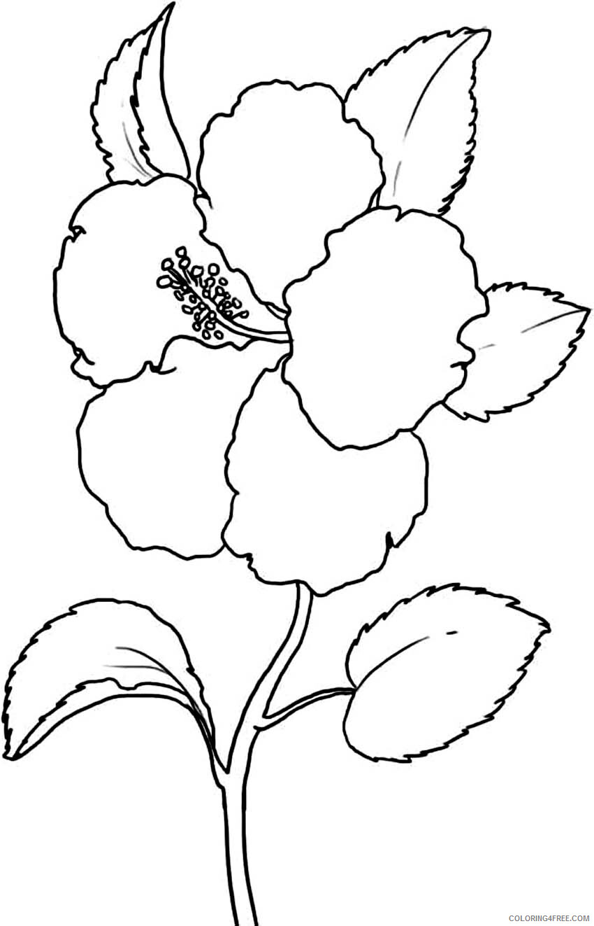Hibiscus Coloring Pages Flowers Nature Printable Hibiscus Flower Printable 2021 Coloring4free