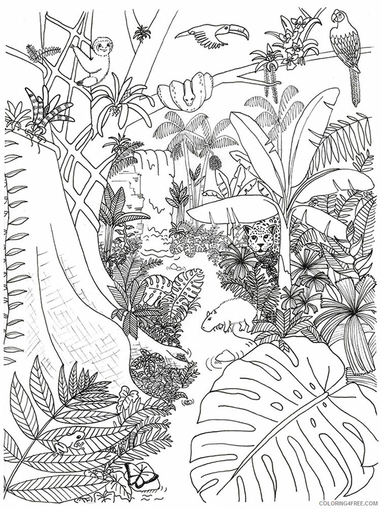 Jungle Coloring Pages Nature Jungle 6 Printable 2021 274 Coloring4free