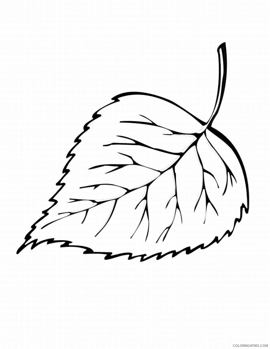 Leaf Coloring Pages Nature Fall Leaf 2 Printable 2021 307 Coloring4free