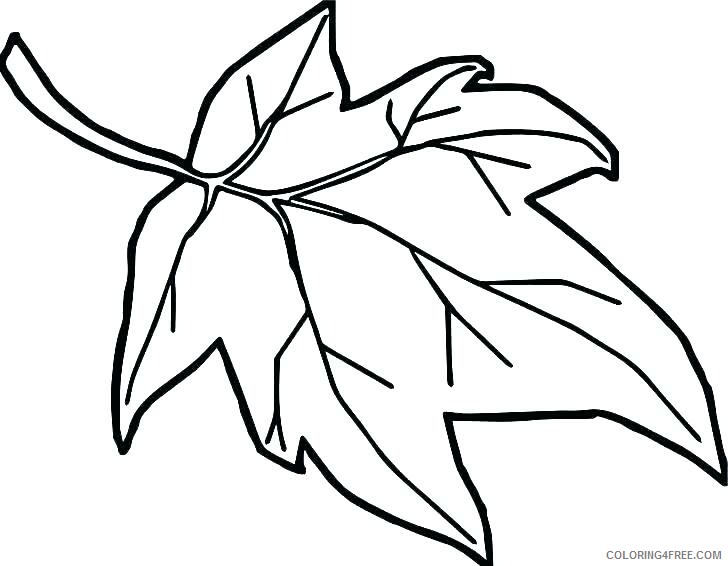 Leaf Coloring Pages Nature Fall Leaf Printable 2021 308 Coloring4free