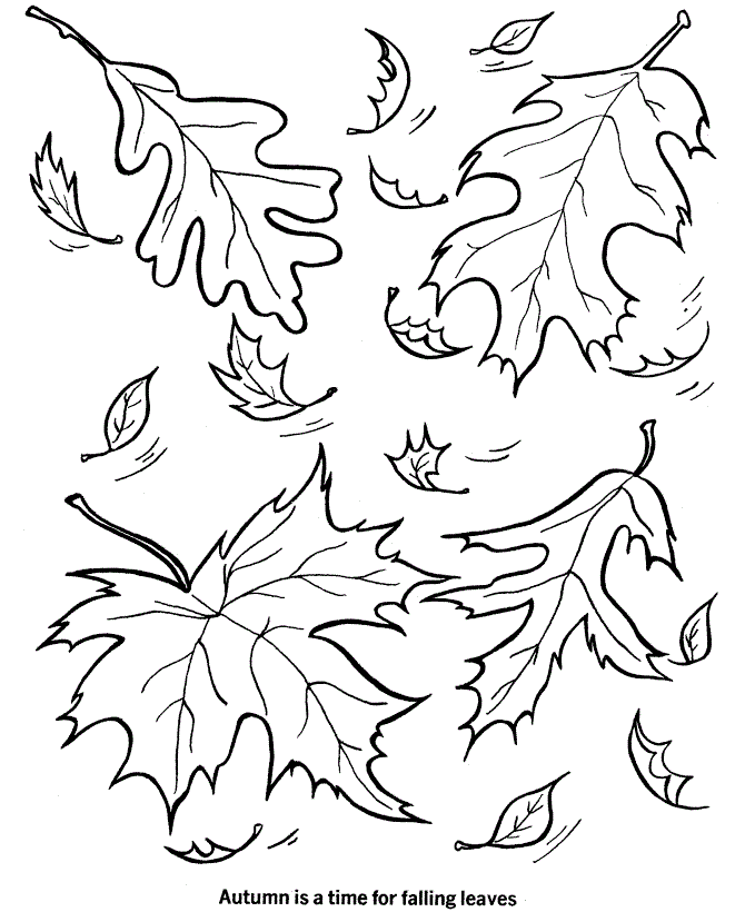 Leaf Coloring Pages Nature Fall Leaf Printable 2021 309 Coloring4free