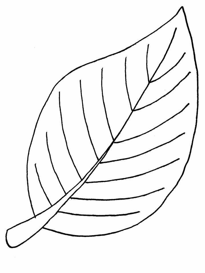 Leaf Coloring Pages Nature Leaf Printable 2021 312 Coloring4free