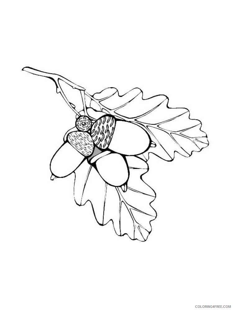 Leaf Coloring Pages Nature leaf 10 Printable 2021 314 Coloring4free