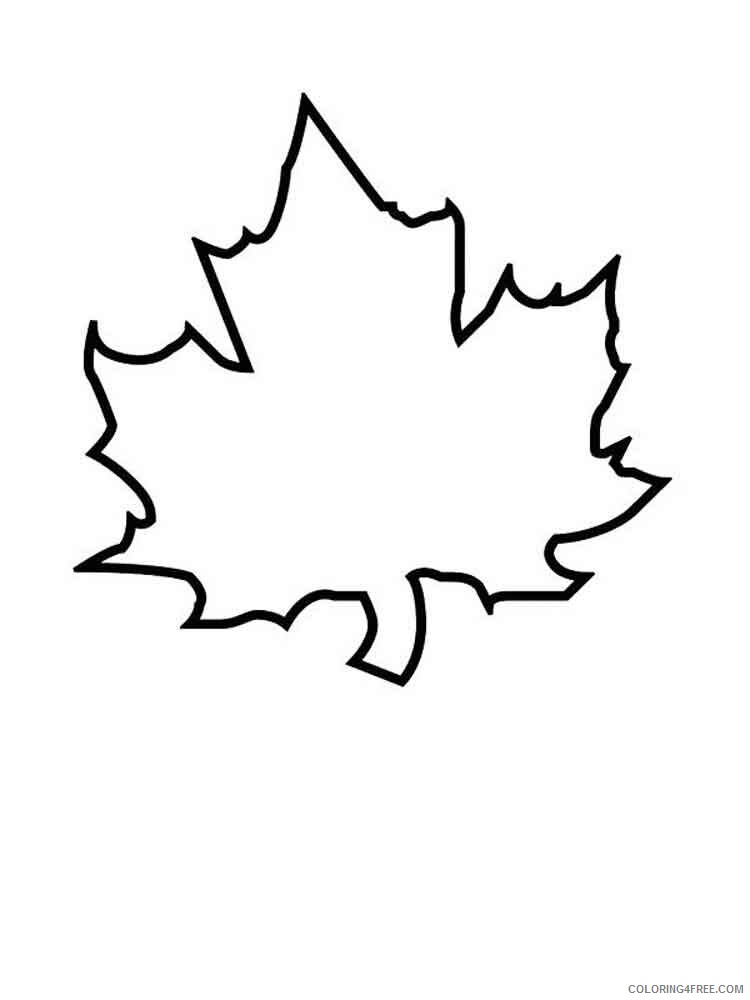 Leaf Coloring Pages Nature leaf 11 Printable 2021 315 Coloring4free