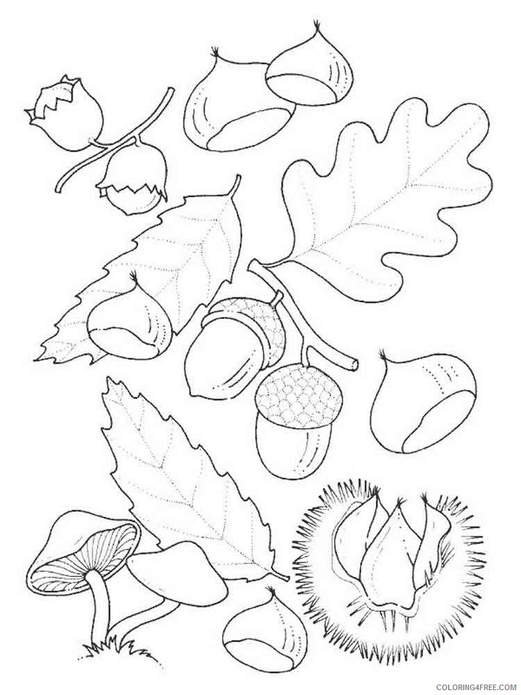 Leaf Coloring Pages Nature leaf 12 Printable 2021 316 Coloring4free