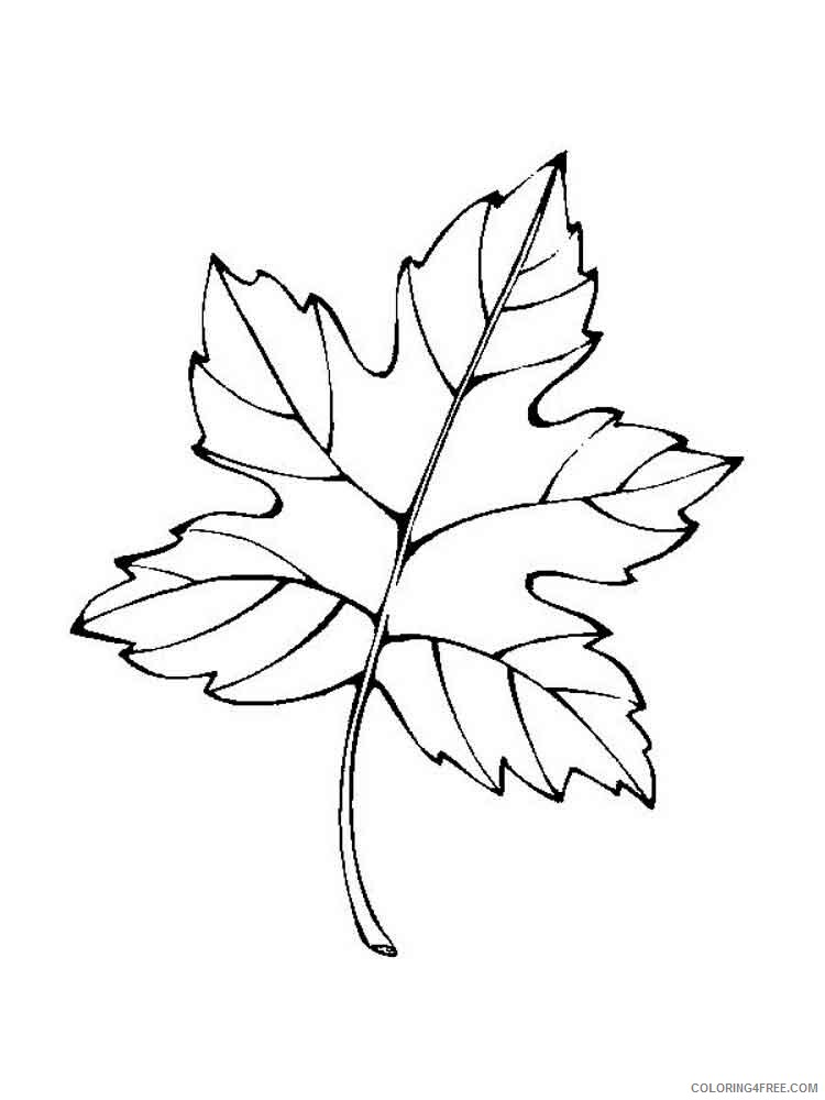 Leaf Coloring Pages Nature leaf 15 Printable 2021 319 Coloring4free