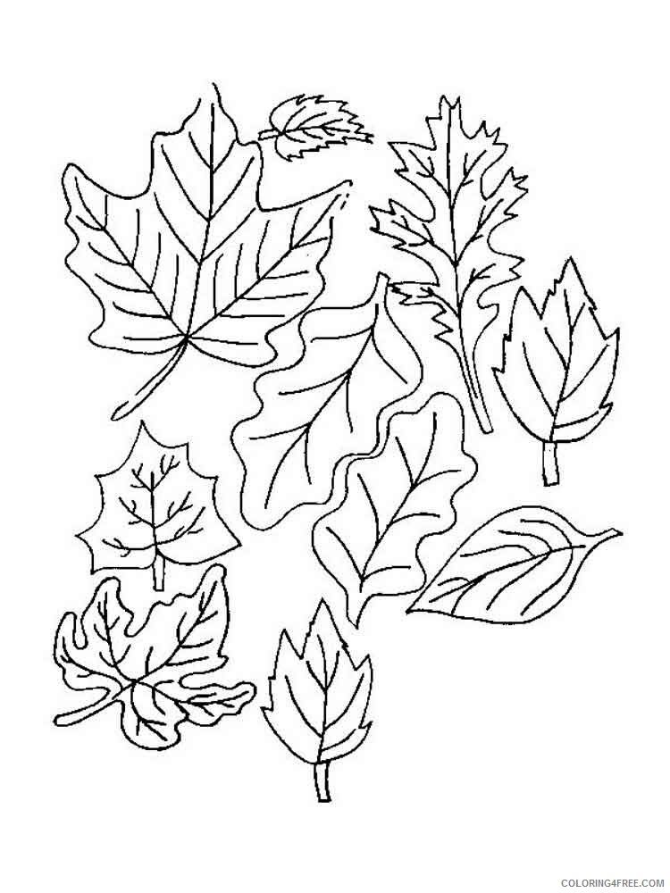 Leaf Coloring Pages Nature leaf 16 Printable 2021 320 Coloring4free