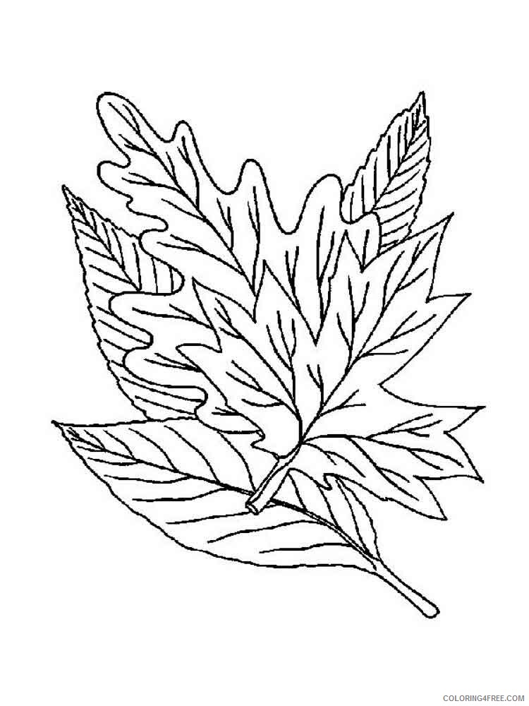 Leaf Coloring Pages Nature leaf 17 Printable 2021 321 Coloring4free