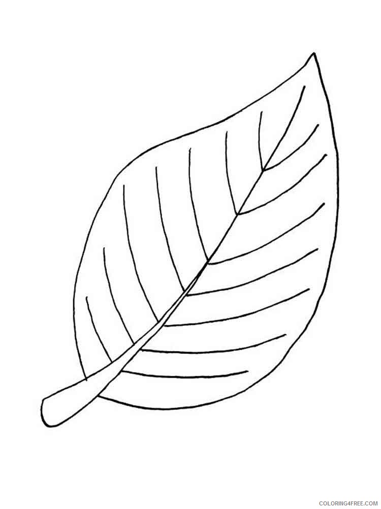 Leaf Coloring Pages Nature leaf 21 Printable 2021 323 Coloring4free