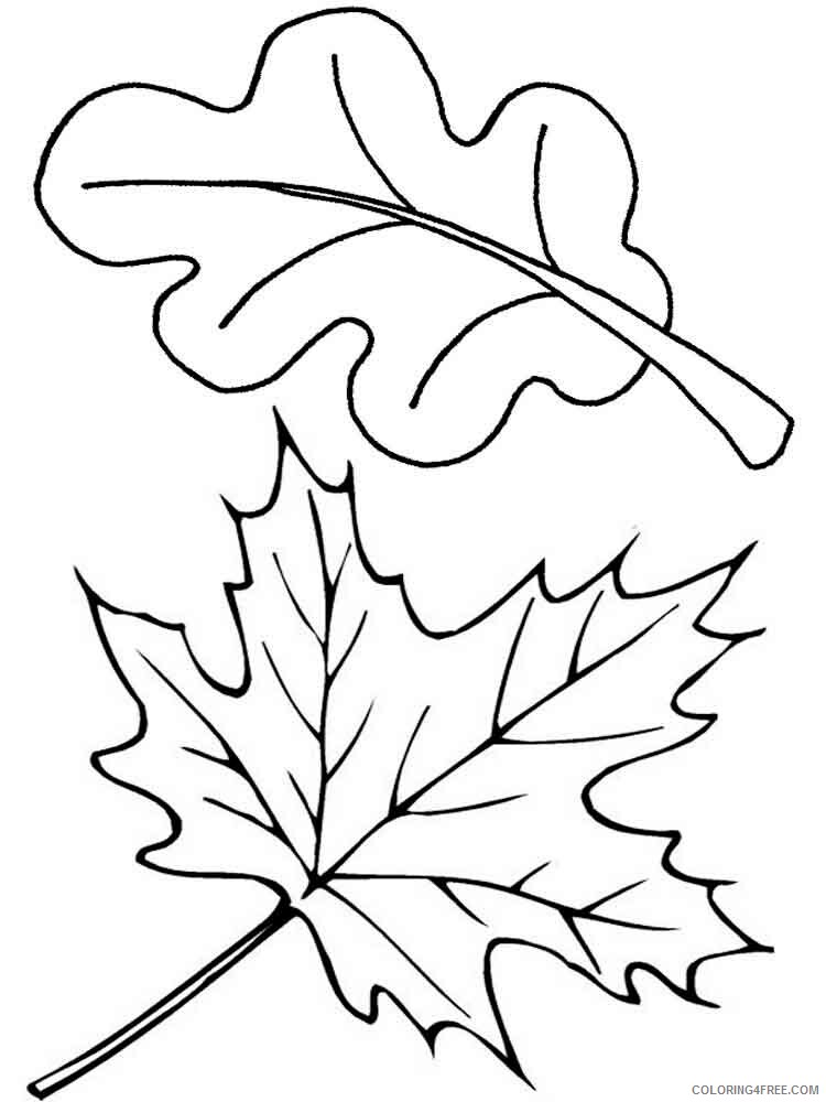 Leaf Coloring Pages Nature leaf 26 Printable 2021 325 Coloring4free