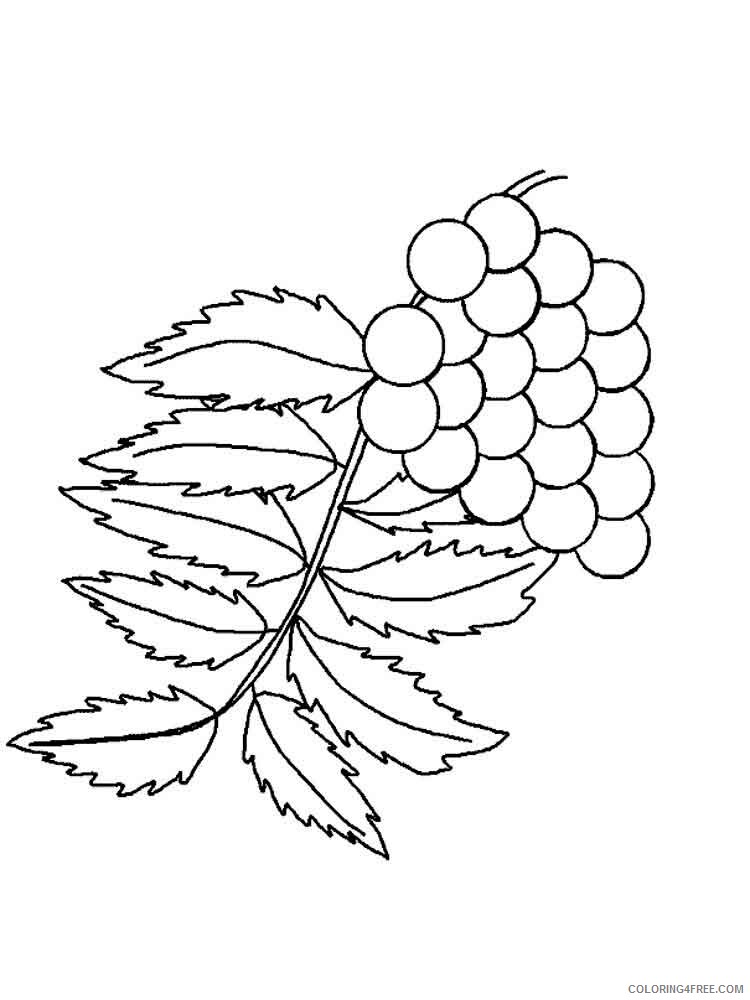 Leaf Coloring Pages Nature leaf 27 Printable 2021 326 Coloring4free