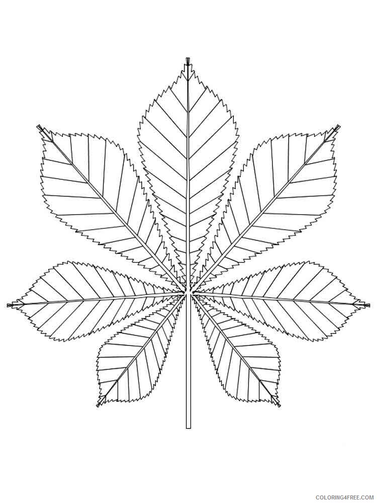 Leaf Coloring Pages Nature leaf 30 Printable 2021 329 Coloring4free
