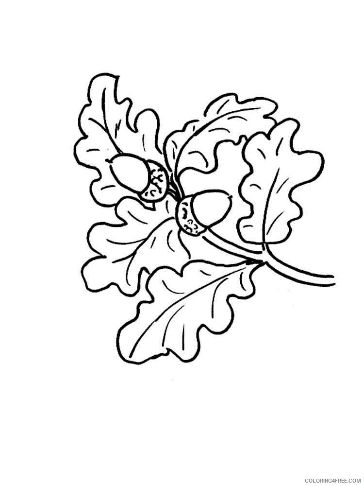 Leaf Coloring Pages Nature leaf 31 Printable 2021 330 Coloring4free