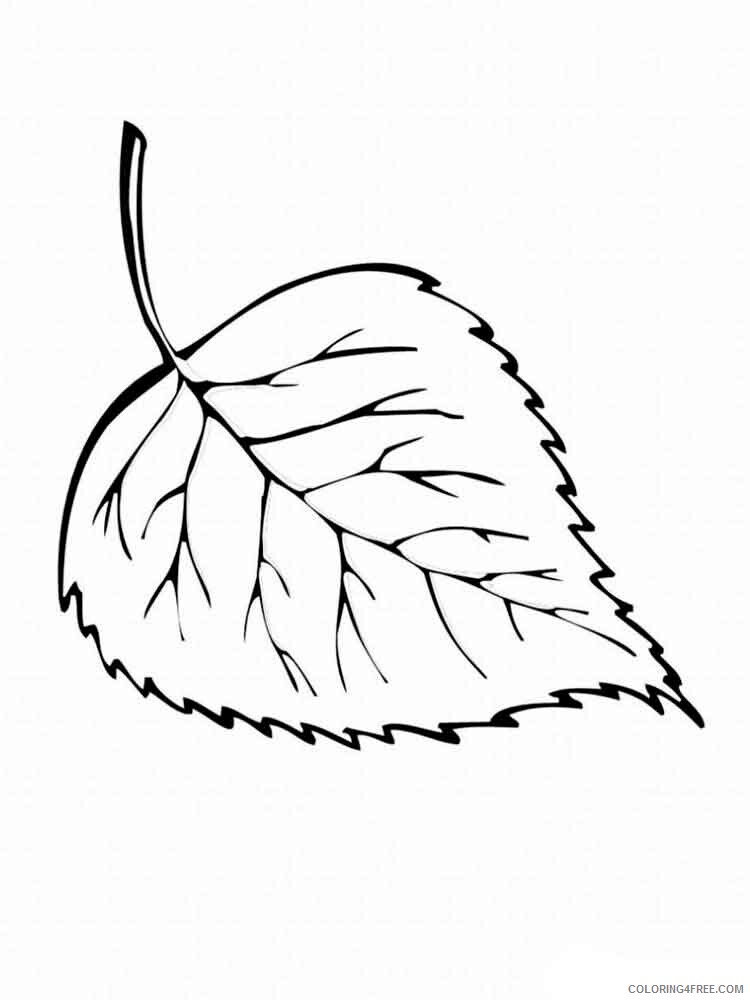 Leaf Coloring Pages Nature leaf 5 Printable 2021 332 Coloring4free