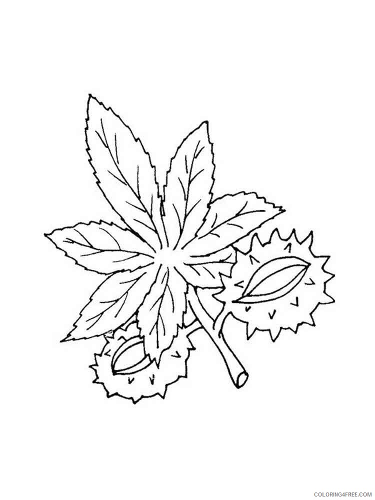 Leaf Coloring Pages Nature leaf 8 Printable 2021 334 Coloring4free