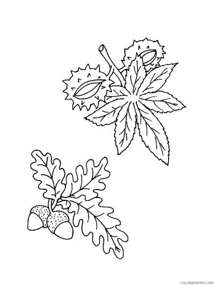 Leaf Coloring Pages Nature leaf 9 Printable 2021 335 Coloring4free