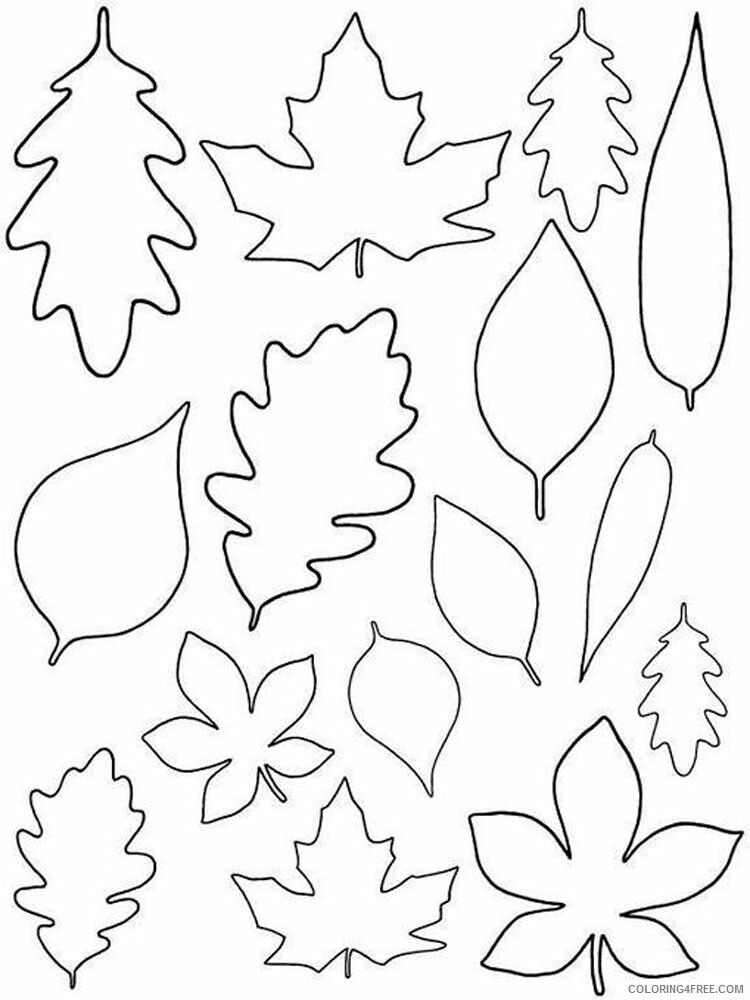 Leaf Coloring Pages Nature leaf stencils 6 Printable 2021 340 Coloring4free
