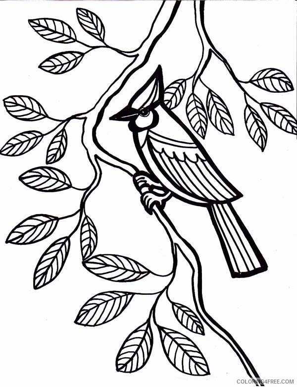Leaves Coloring Pages Nature Cardinal Bird Come to Rest Under Tree Leaves 2021 Coloring4free