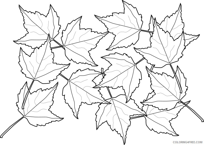 Leaves Coloring Pages Nature Colorful Fall Leaves Printable 2021 347 Coloring4free