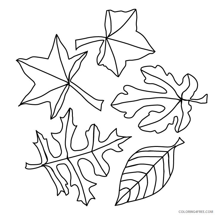 Leaves Coloring Pages Nature Fall Leaves Printable 2021 353 Coloring4free