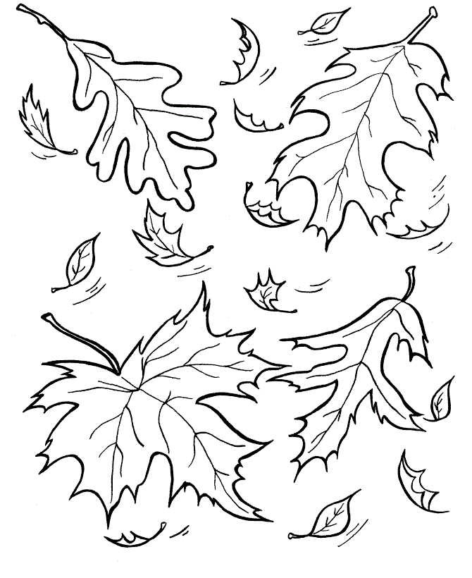 Leaves Coloring Pages Nature Free Fall Leaves Printable 2021 360 Coloring4free