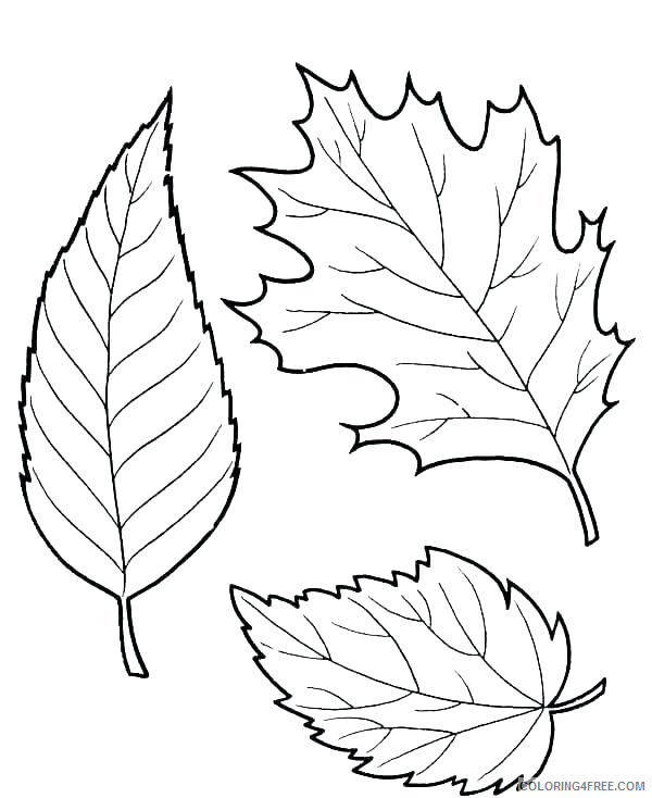 Leaves Coloring Pages Nature Free Fall Leaves Printable 2021 362 Coloring4free